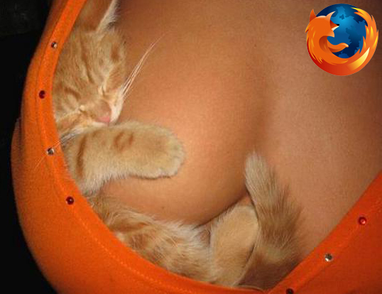 Two Of My Favorite Things Firefox And Boobs